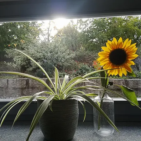 Apartmán Morgenlicht